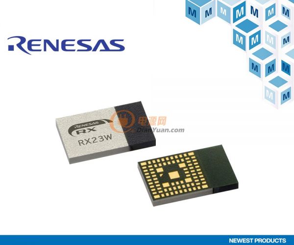 PRINT_Renesas Electronics RX23W