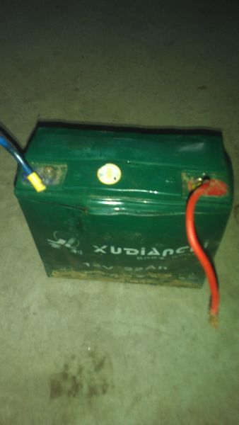 IMAG0584